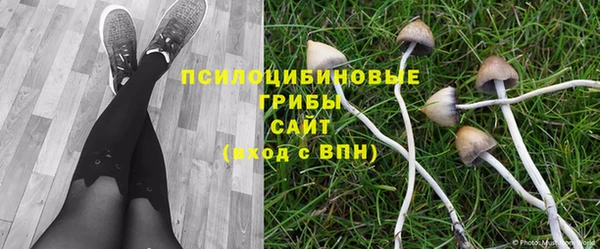 mdpv Зеленокумск