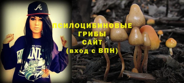 гашик Зеленодольск