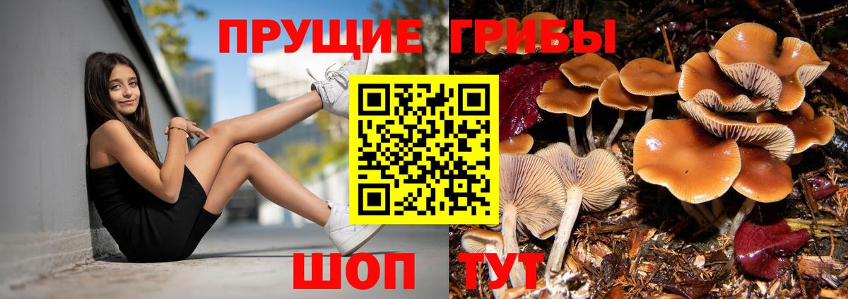 Каменск-Шахтинский  Галлюциногенные грибы мицелий  Вход с VPN 